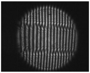 Studying the dynamics of open quantum systems using photons