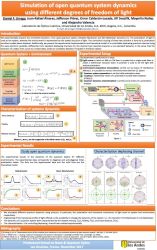 Experimental simulation of quantum dynamics using environments based on spatial variables of light